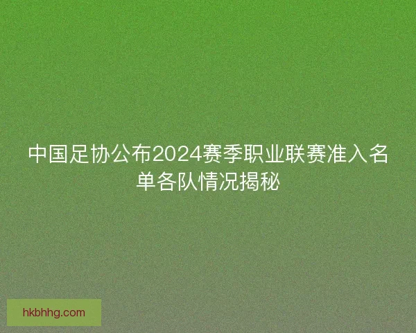 中国足协公布2024赛季职业联赛准入名单各队情况揭秘